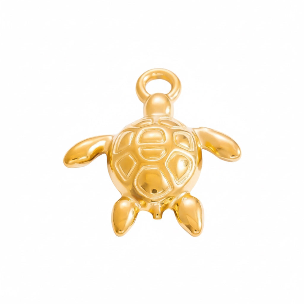 TORTUGA CHARM
