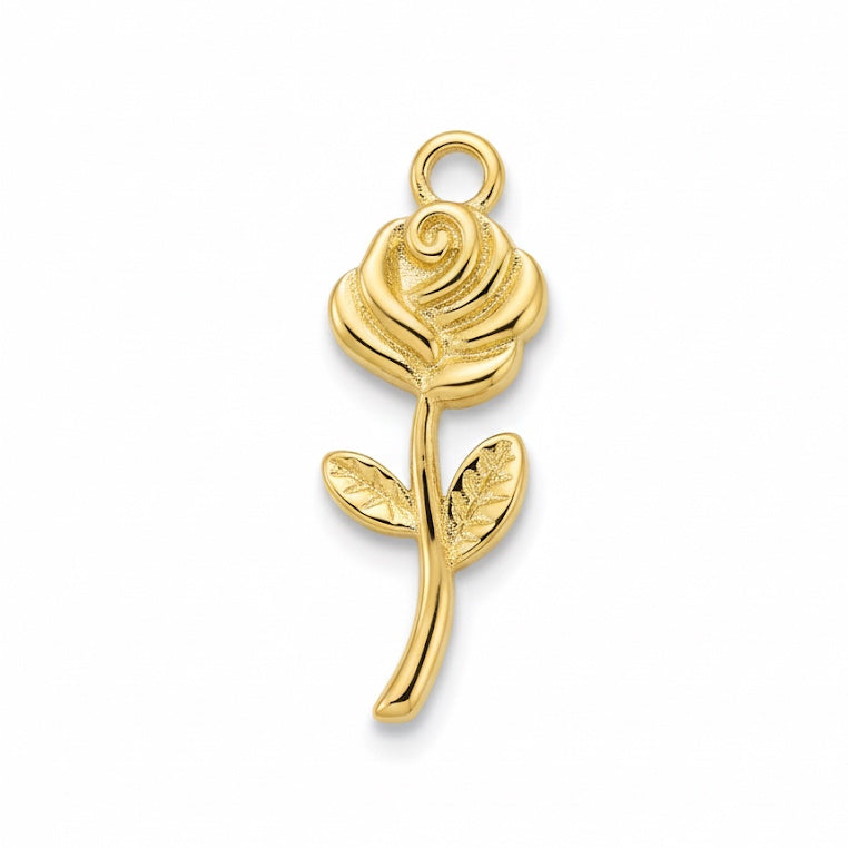 ROSA CHARM (3)