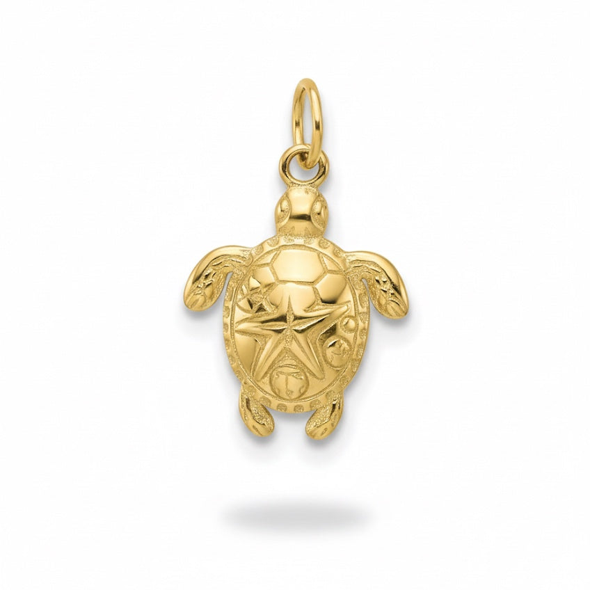 TORTUGA CHARM (2)