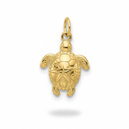 TORTUGA CHARM (2)